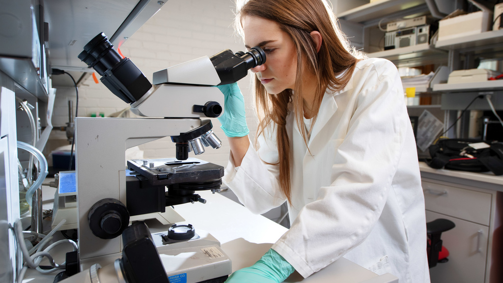 Megan Crotts looking into microscope 