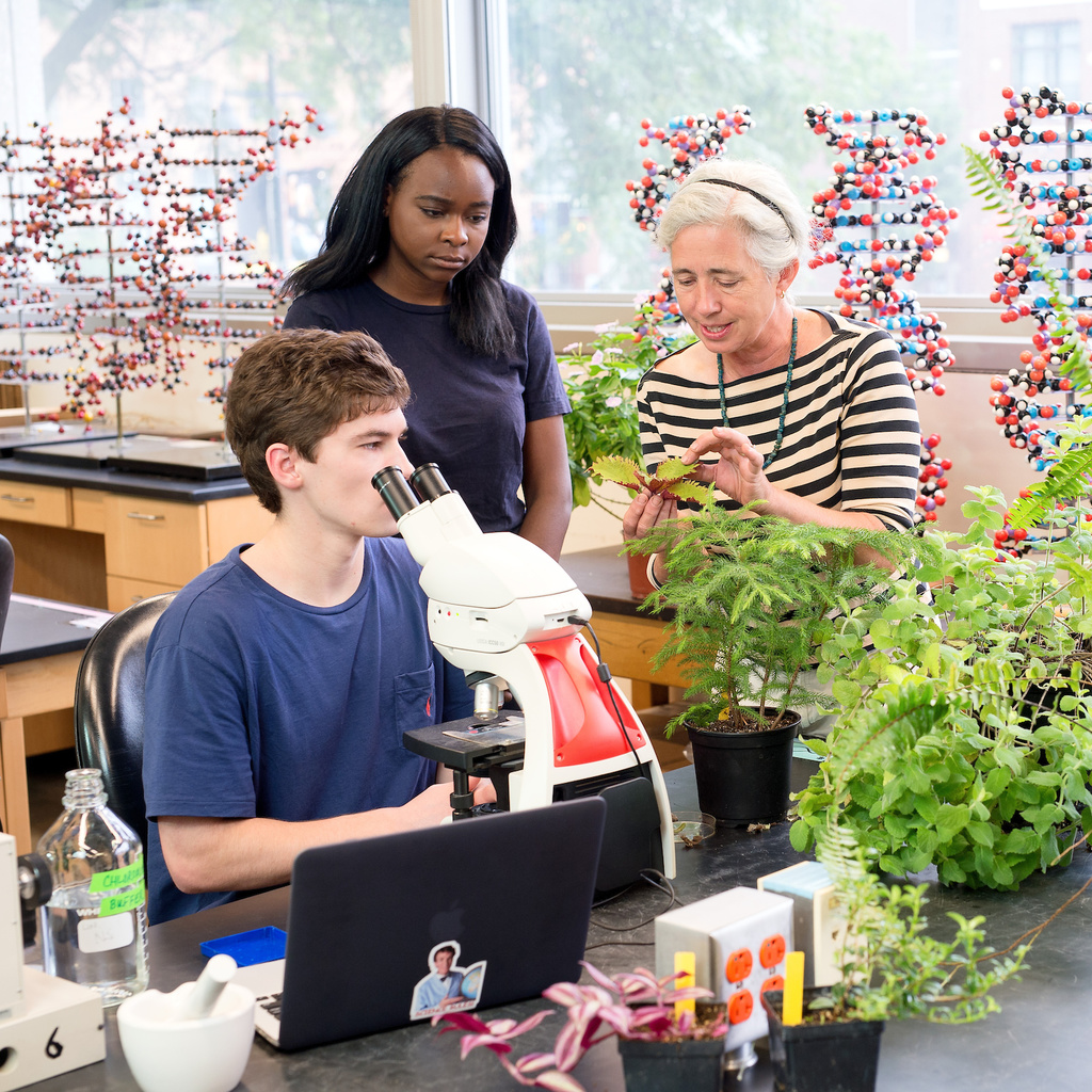 Biology students in a classroom