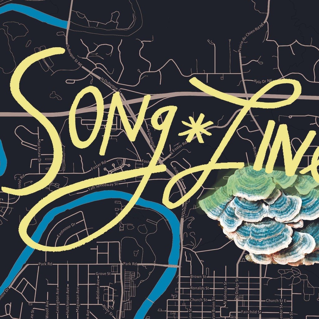 Song*Lines Project: Land Connection promotional image