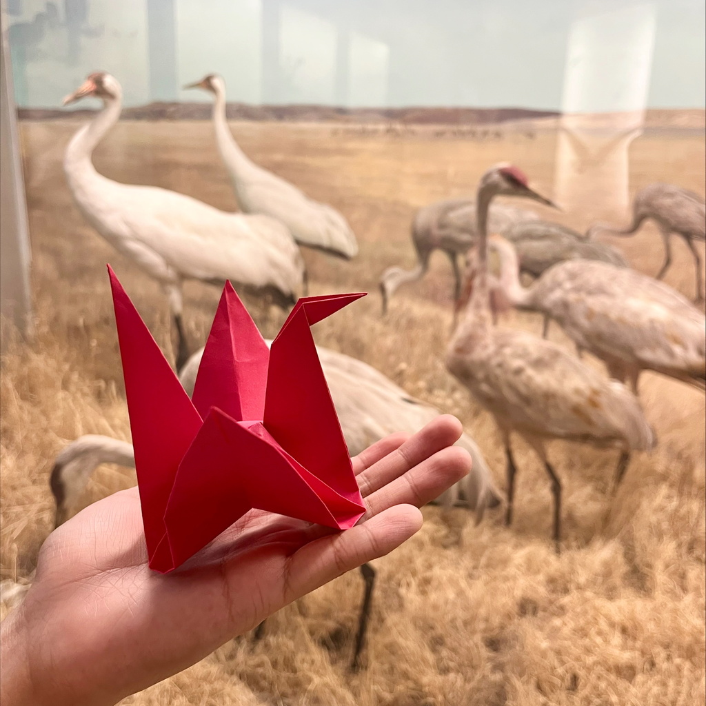 Midterm Reset @ the Museum promotional image