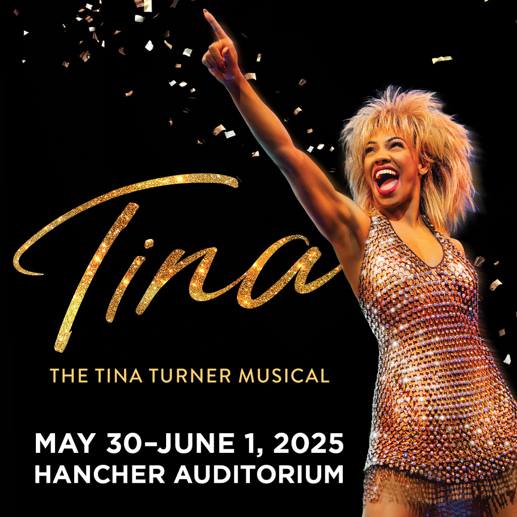 TINA − The Tina Turner Musical promotional image