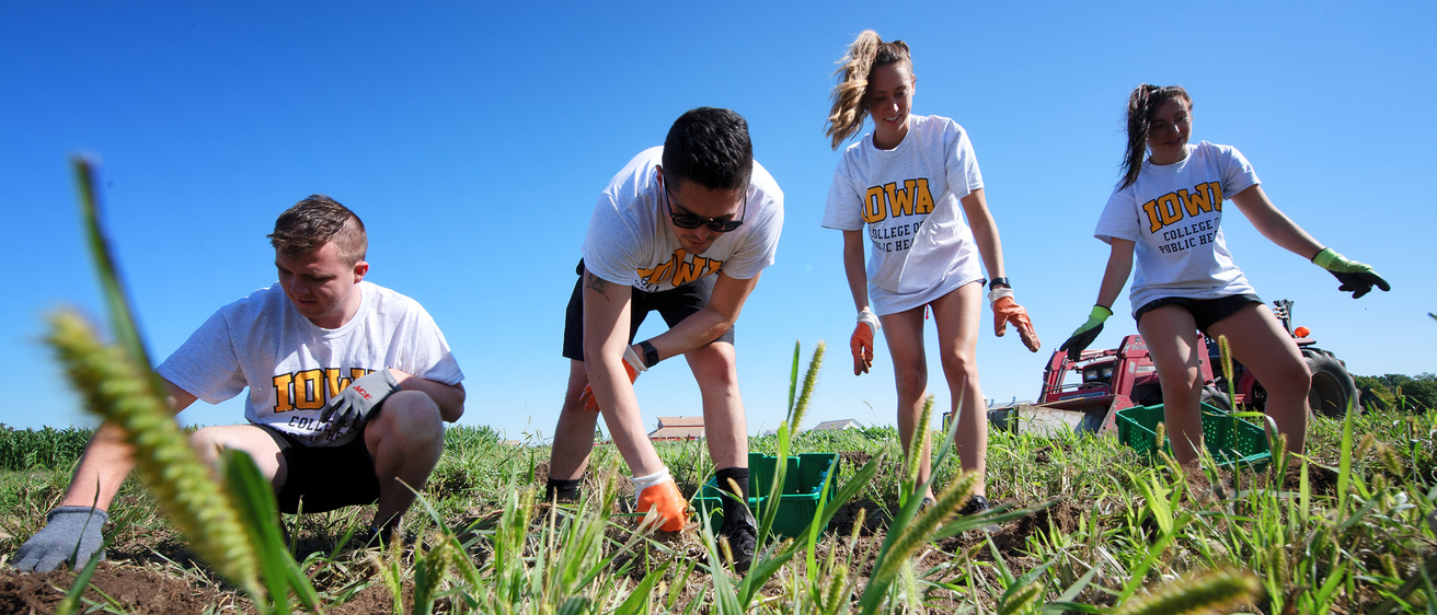 Four students working outdoors painting seeds into the ground.