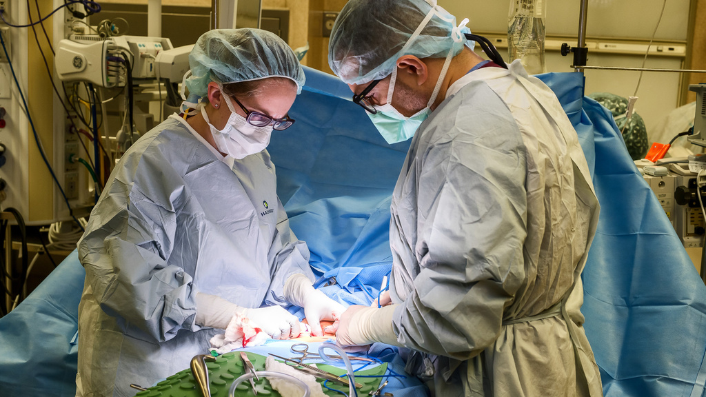 Two doctors performing surgery in operating room.