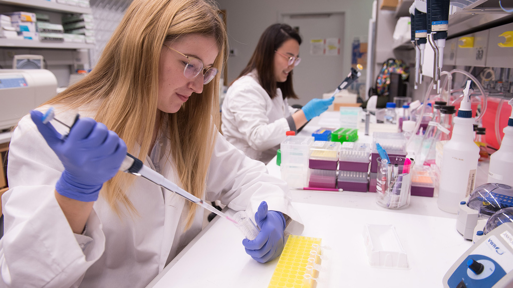 two students working in a lab