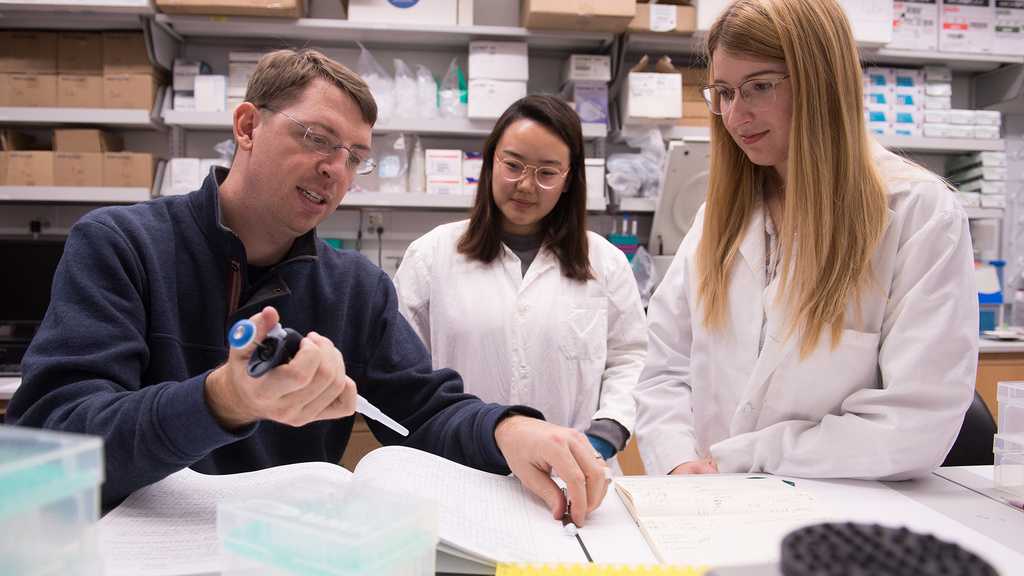 a biomedical engineering professor works with two students in a lab setting