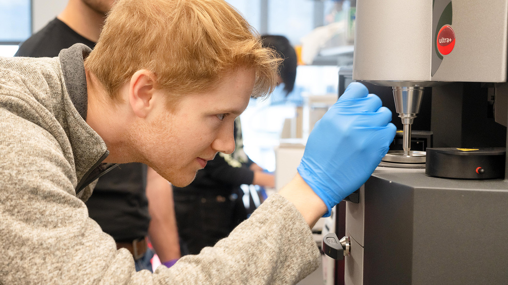 a biomedical engineer works in a lab