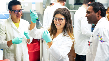What are the different types of biomedical engineering? | The ...