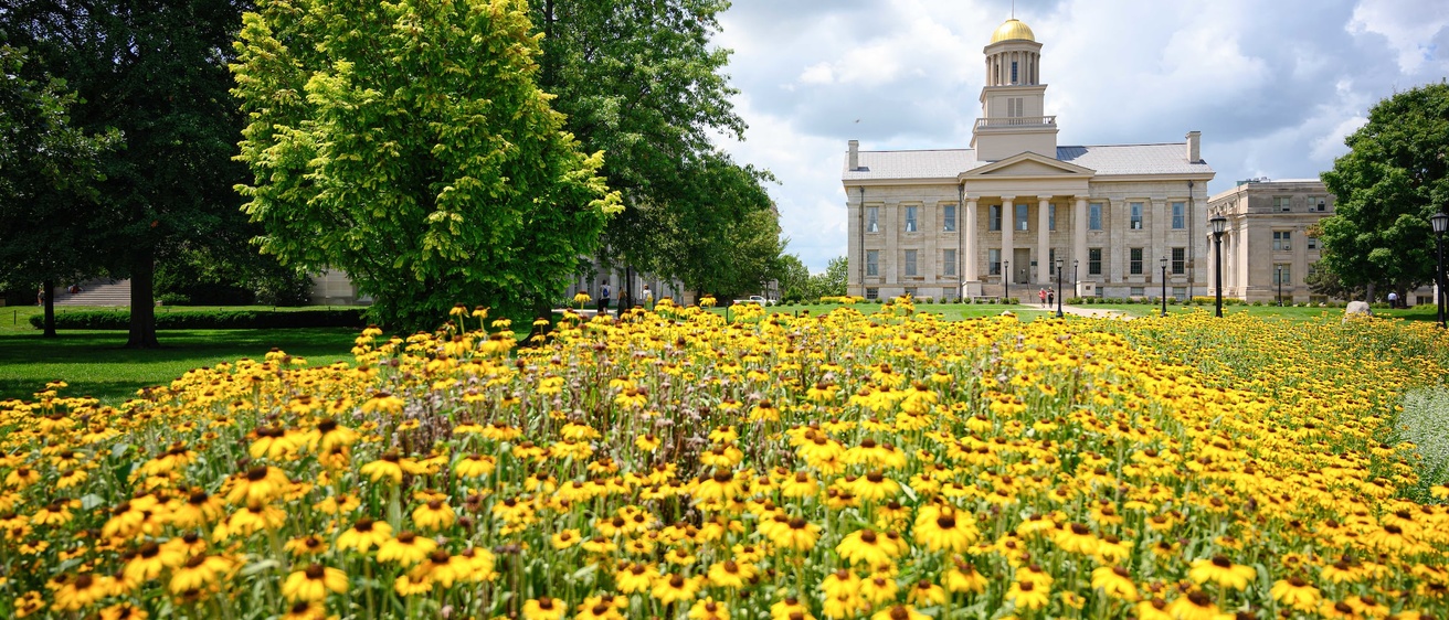 Alt="Flowers on campus in summer with Old Capitol in background."